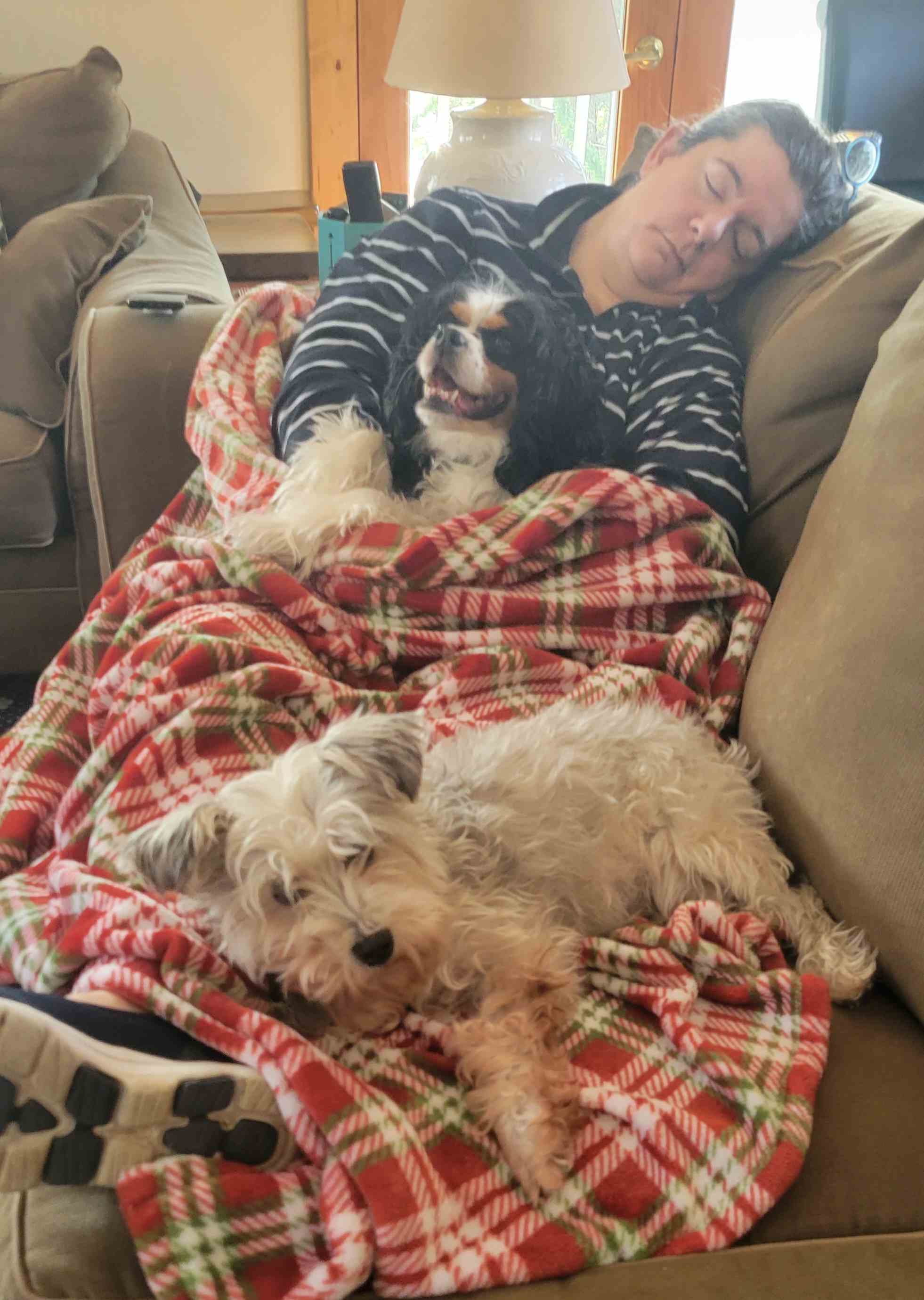 2022-01-09 dog pile.jpg